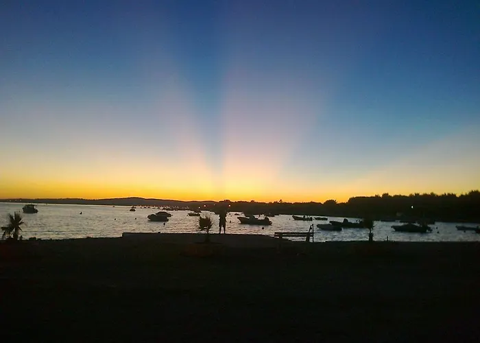 House Vir-to-all * Vir