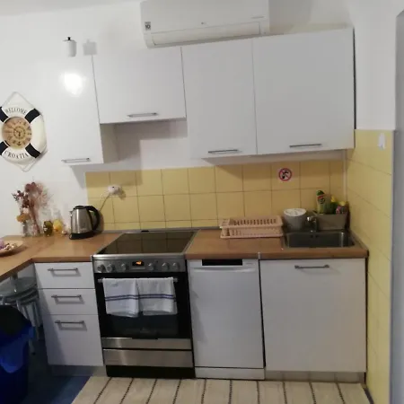 House Vir-to-all