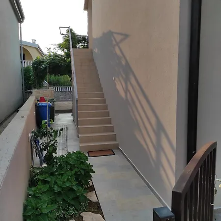 House Vir-to-all *