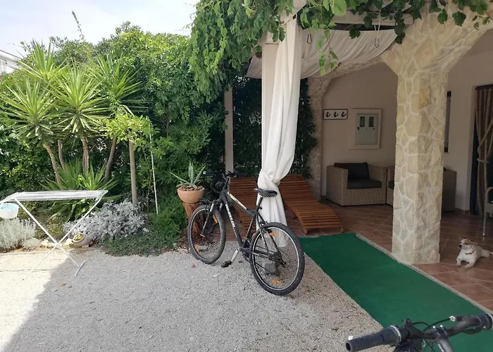 House Vir-to-all * Vir